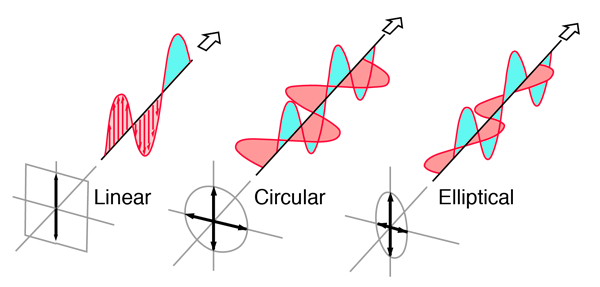 What is polarization and polarization-dependent loss PDL?